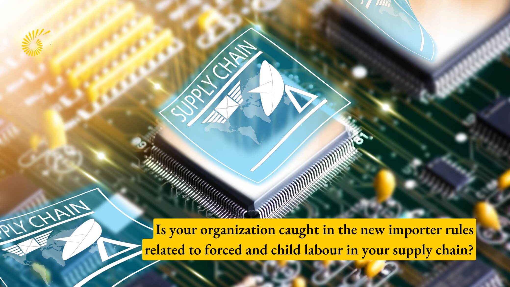 Is your organization caught in the new importer rules related to forced and child labour in your supply chain?